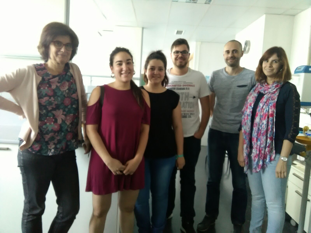 Foto del grupo