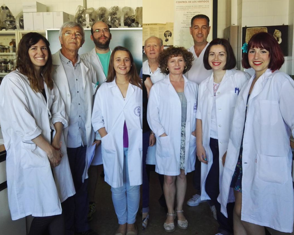 Foto del grupo