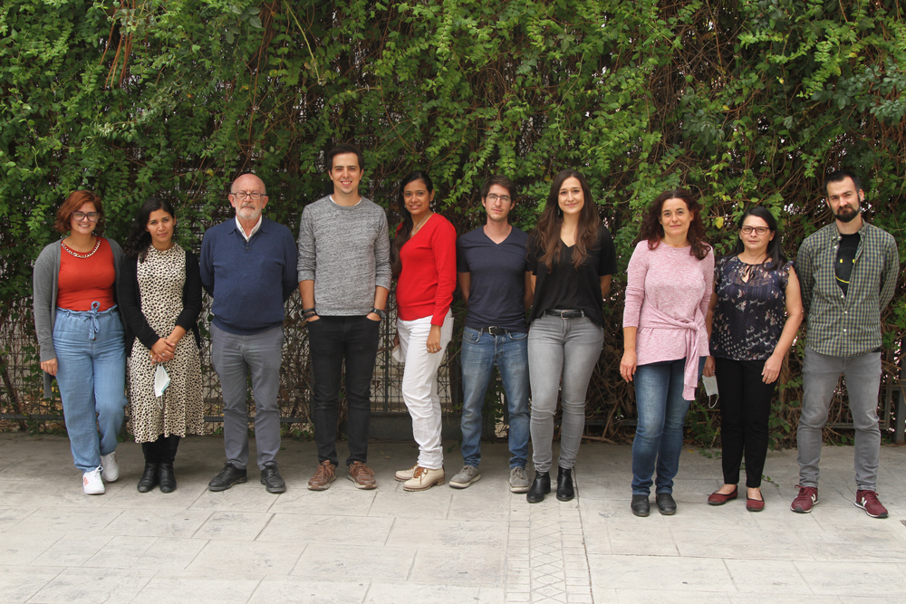 Foto del grupo