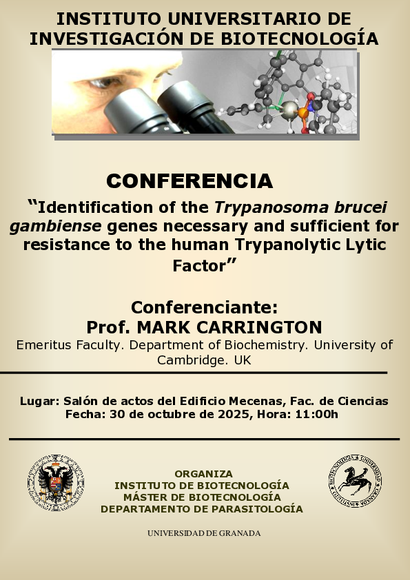 Imagen de la noticia del 30-10-2025